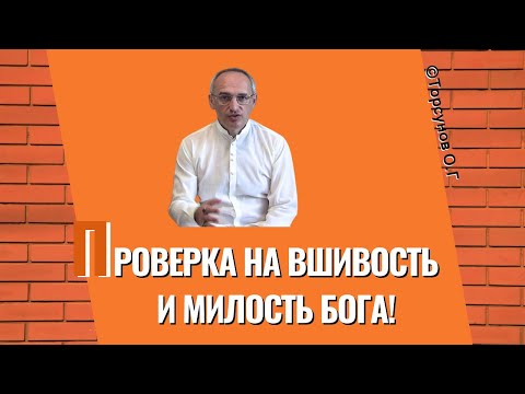 Проверка на вшивость и милость Бога! Торсунов лекции