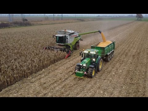 Zber kukurice 2025 | Claas Lexion 770 TT | John Deere 6215R | Case Puma 210