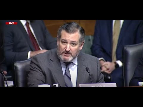 Ted Cruz slams judicial nominee in heated confirmation hearing | LiveNOW from FOX