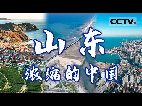 山东：荣获多个“全国第一”！它地貌多元 西高东低 耕田耕海耕天下！这个中国“第一”大省到底有多狂野？ 【CCTV纪录】