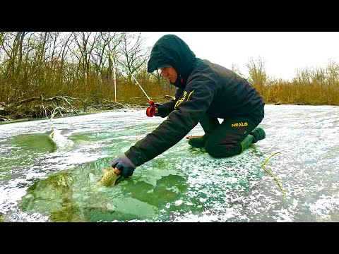 Цу був ЄДИНИЙ ШАНС РИБАЛКИ З ЛЬОДУ! ОГРОМЕЗНІ КАРАСІ КЛЮЮТЬ!!!