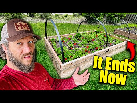 He Stole Food From My Garden!