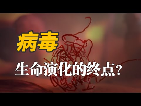 为什么会有病毒？它是所有生命演化的终点吗？【生命起源系列第三集-病毒的起源】