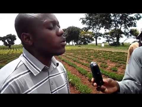 Bulisani Ncube