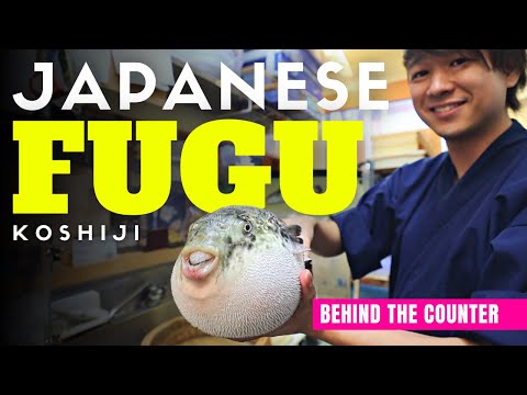 Behind the Counter at a local Japanese Poisonous Puffer Fish Fugu Restaurant