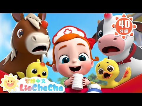農場動物受傷了 | 寶寶和小動物好朋友 | 啟蒙教育 | 國語童謠 | 人氣兒歌 | LiaChaCha 依娜和恰恰 - 繁體中文 - 兒歌童謠