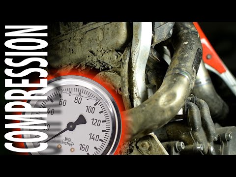 Top End Rebuild! (2 Stroke)