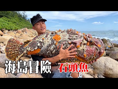 海島冒險生存60天全集！摘野生的仙人掌果實做配料，下海抓到石頭魚做海鮮大餐#探索兄弟 #荒島生存 #石頭魚 #龍蝦
