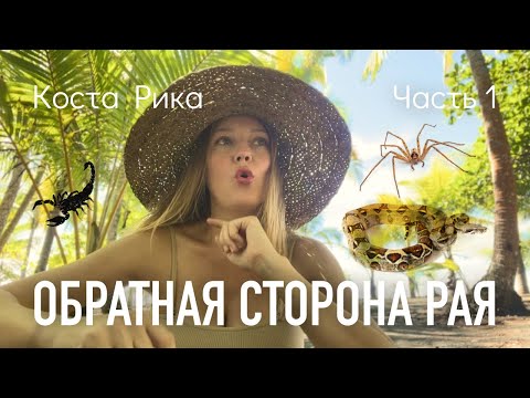 Коста Рика. О чем не договаривают туристам. Минусы жизни в тропическом раю. Часть 1