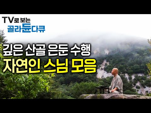 첩첩산중 홀로 토굴에서 수행하는 스님들의 이야기│수행자의 삶│#한국기행│#골라듄다큐