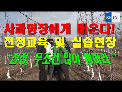 사과나무 전지(전정) - 사과명장의 교육 현장 공개