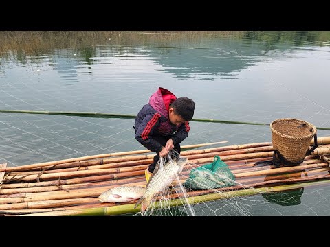 story Highland boy khai who sets a net to trap jumping carp to catch fish to sell.❤️❤️