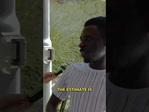 How much money Microsoft interns get paid #shorts #salarytransparency #personalfinance