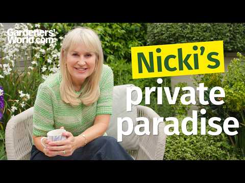 This tiny courtyard garden has EVERYTHING | Nicki Chapman's garden tour