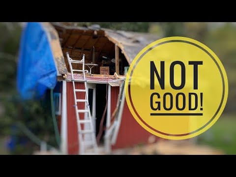 Repairing  a Tree Damaged Barn / MY DIY