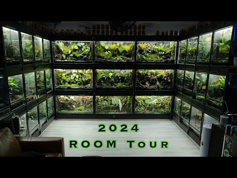 FROGROOM TOUR 2024!!