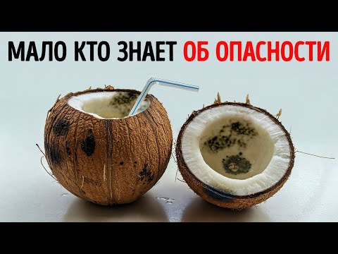 101 любопытный факт, которым стоит поделиться в подходящий момент