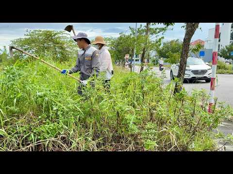 Neighbors said they had nowhere to dump their trash when we cleared the sidewalk