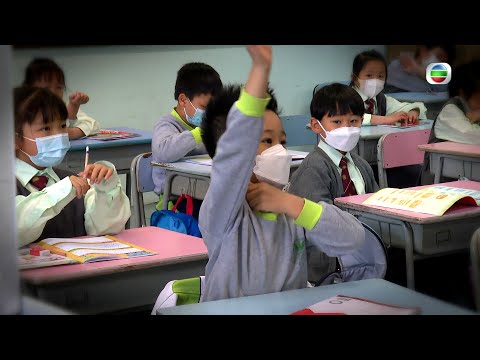 TVB 星期日檔案 ｜ 跨境生的去或留 (繁／簡字幕) ｜ 無綫新聞 TVB News