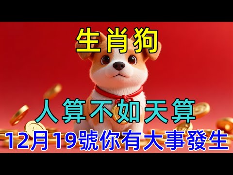人算不如天算！生肖狗，明天12月19號你有大事發生！屬狗的你知道嗎？    #生肖运势#佛陀#佛學 #佛法 #佛教 #修行 #智慧 #因果 #佛家  #佛學知識 #佛學智慧 #修心修行 #佛教文化