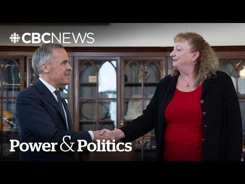 'The bigger the tent the better': Liberal caucus chair on latest floor-crosser   | Power & Politics