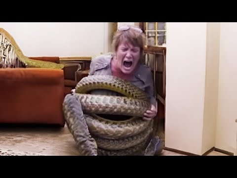 If You're Afraid of Snakes, Don't Watch This Video