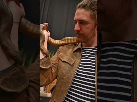 Thank you #WestOzWildlife 🖤                      🎥 @RuthlessImagery