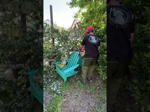 This Could've Been Bad (Turn Lemons into Lemonade)