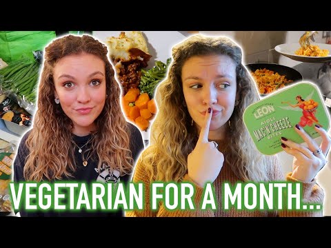 I WENT VEGETARIAN FOR A MONTH... & this was how it went
