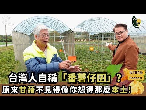 台灣人自稱「番薯仔囝」？但原來甘藷不見得像你想得那麼本土！｜ft.嘉義農業試驗分所農藝系主任 賴永昌｜我們的島Podcast有影版 @EP.108