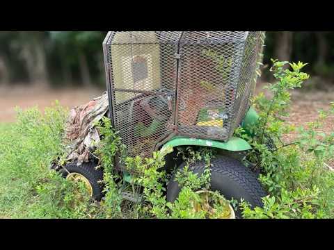 FREE JOHN DEERE TRACTOR LEFT  ROTTING IN THE WEEDS FOR YEARS… WILL IT RUN?