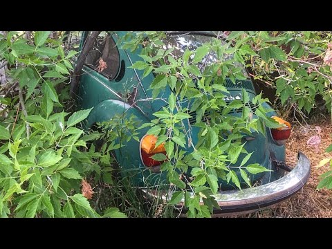 Volkswagen Sitting For Over 30 Years Will It Run. Forgotten VW Super Bug.