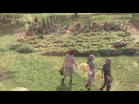 95%的人都没看过这部电影，我却想强烈推荐给所有人，治好了我最近的精神内耗！【光影】