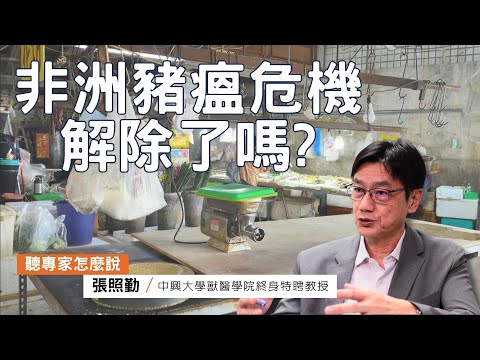 面對非洲豬瘟的突擊考試！危機解除了嗎？｜ft.中興大學獸醫學院微生物暨公衛所終身特聘教授張照勤｜公視我們的島【聽專家怎麼說】
