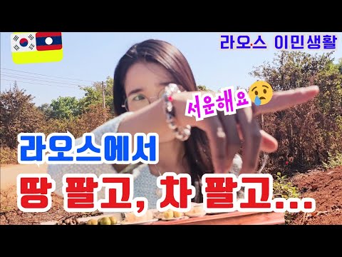 Selling the land, selling the car... I feel sad about letting them go!