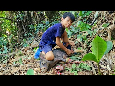 FULL VIDEO 15 days: Wandering boy Bac sets traps to catch fish, wild boars and turtles to sell.