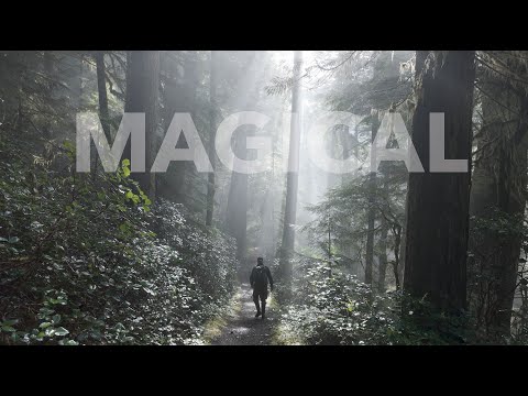 Amazing Woodland Photography | FujiFilm GFX100s | Checking out the Jackery Explorer 1000 v2
