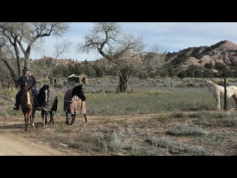 Taking Four Horses to Mountain Range on HorseBack