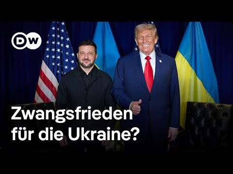 Ein Friedensplan für die Ukraine - oder eine Belohnung für Russland? | DW Nachrichten
