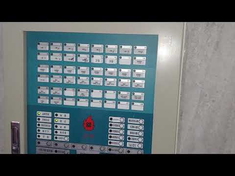 싸이렌이 울 렸을때 끄는 방법 배우기