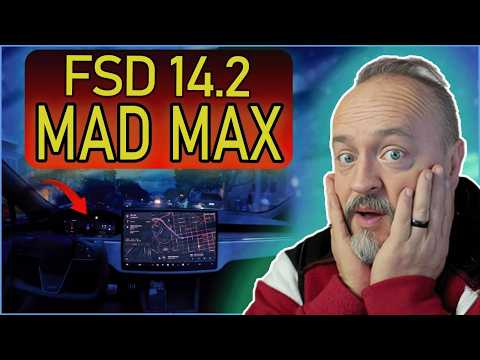 First Look FSD 14.2 Night And Day