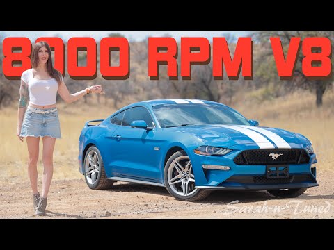 Used Bargain! // Tuned 2019 Ford Mustang GT Review