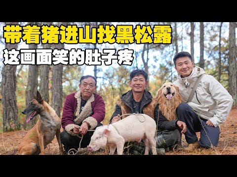 Yunnan Road Trip: Hilarious Encounter with a Pumi Brother and His Pig Hunting for Black Truffles!