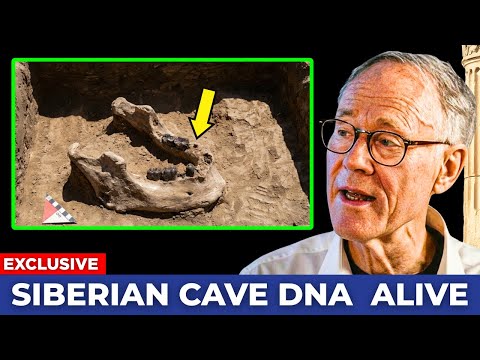 DNA From Aboriginal Australians Uncovered a Human Species Lost to History