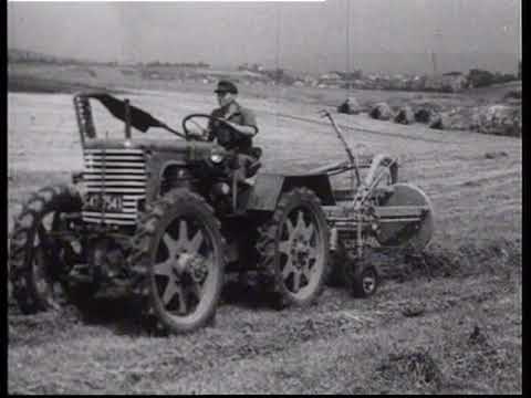 Historische Landwirtschaft: Wir fahren ins Heu (Wie Heuwerbung früher funktionierte)