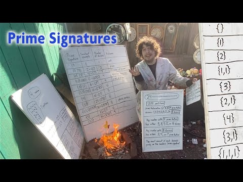 The Magnificent Patterns of "Prime Signatures"
