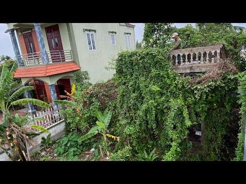 Terrified when weeds covered the abandoned house more than 100 year old | Clean, cut overgrown weeds