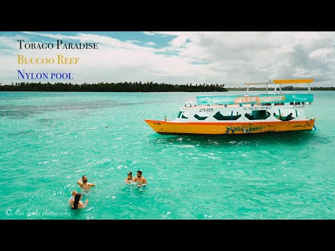 Trinidad & Tobago + No Mans land + nylon pool + Amazing food + Island tour + family fun + rum punch