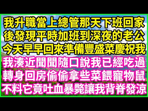 我升職當上總管那天下班回家，後發現平時加班到深夜的老公，今天早早回來準備豐盛菜慶祝我，我湊近聞聞隨口說我已經吃過，轉身回房偷偷拿些菜餵寵物鼠，不料它竟吐血暴斃讓我背脊發涼！#情感故事 #花開富貴