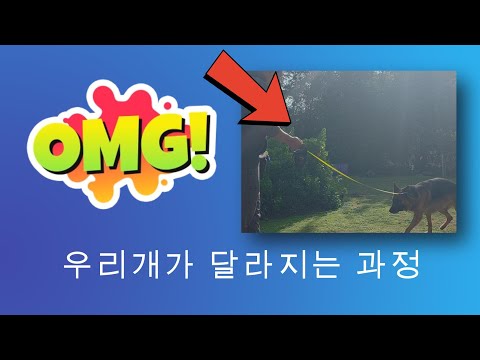 beretta Day 1//Prong conditioning and YES